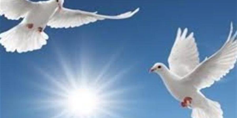فى اليوم العالمى للتعايش السلمى.. إبادة جماعية للشعب الفلسطينى على يد الكيان الصهيونى سارة محمود : حل النزاعات بالحوار والتفاوض وتجنب إراقة الدماء.. أحمد كمال : بناء جسور الثقة والتفاهم أساس السلام
