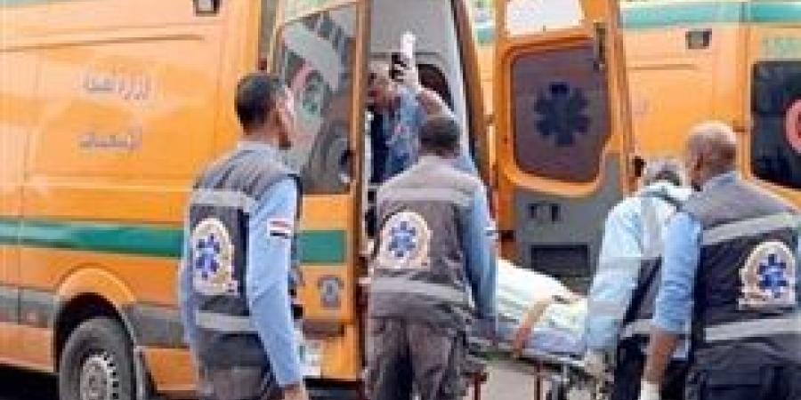 سوهاج.. مصرع عامل وإصابة نجله في انقلاب تروسيكل بالبلينا