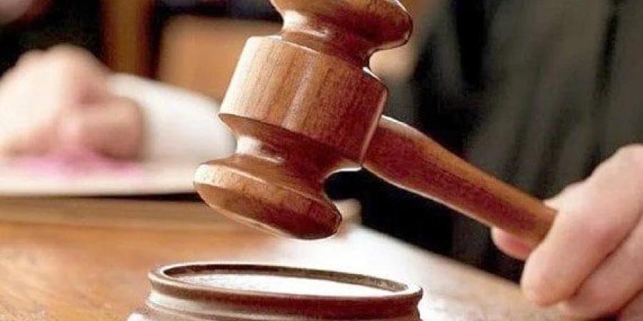 استكمال محاكمة متهم في قضية خلية الوراق.. بعد قليل