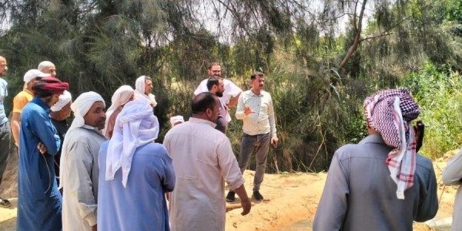 استخراج جذور الأشجار من شبكات قرية ميت أبو الكوم شرق الإسماعيلية