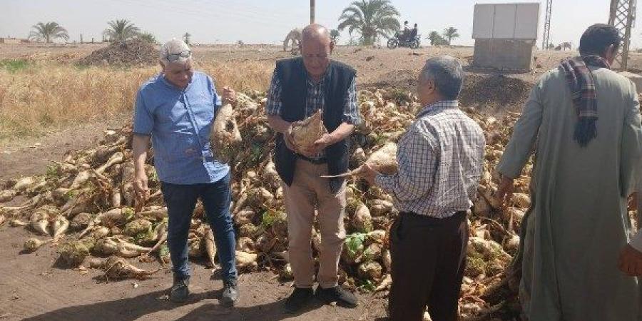 وكيل وزارة الزراعة يتفقد زراعات البنجر وحصاد وتوريد القمح بمركز أسيوط