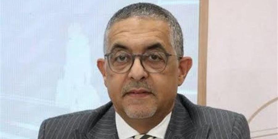 حسام هيبة: المستثمر الأجنبي يدرب العمالة المصرية على التكنولوجيا الحديثة