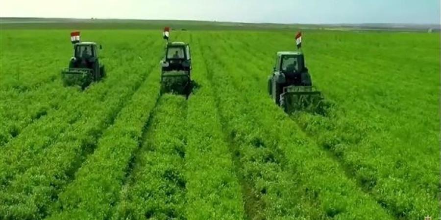 بدء موسم الحصاد.. جهود تحقيق الأمن الغذائي ودعم الاقتصاد الوطني وتوفير فرص العمل