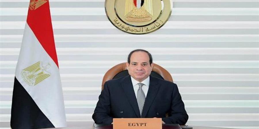 السيسي: نحاول إدخال عدد كبير من الأراضي الزراعية والاستفادة من كل نقطة مياه