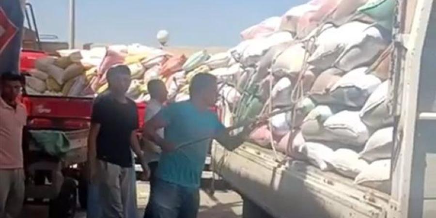 صوامع الفيوم تستقبل محصول القمح بوفرة والرصيد يقترب من 200 ألف طن