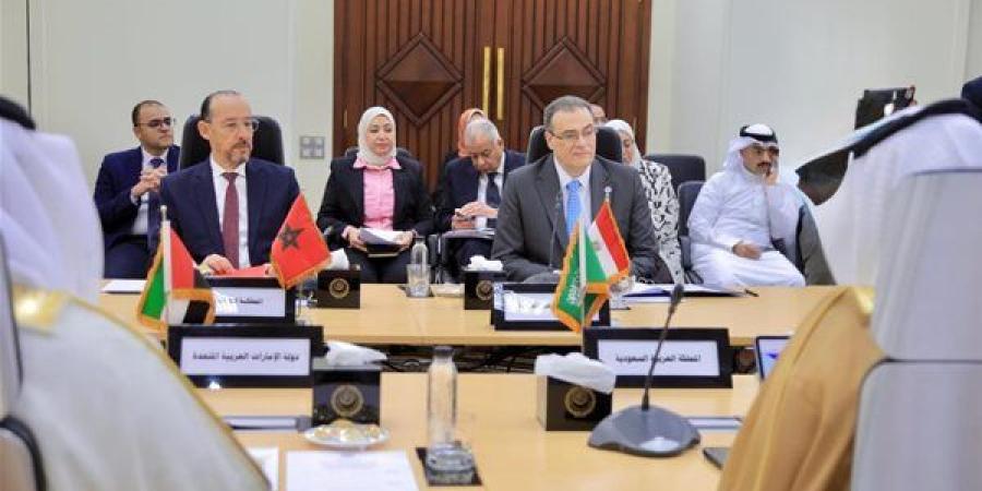 جيهان مديح: مشروع مستقبل مصر يعكس نموذج الجمهورية الجديدة للتنمية المتكاملة