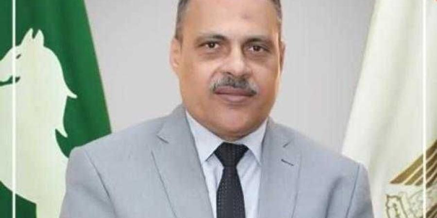 المواقع التخزينية بالشرقية تستقبل ٥٥٠٨٧٠ طن و ٧٨٠ كيلو من الذهب الأصفر بنطاق المحافظة