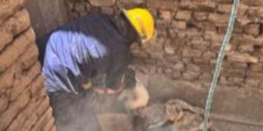 استجابة بطولية.. الحماية المدنية بالفيوم تُنقذ قطتين وتُجسد إنسانية الأمن في موقف نادر