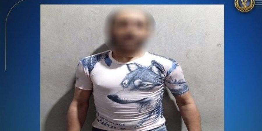 الأمن يكشف ملابسات فيديو سرقة هاتف من فتاة في الدقهلية