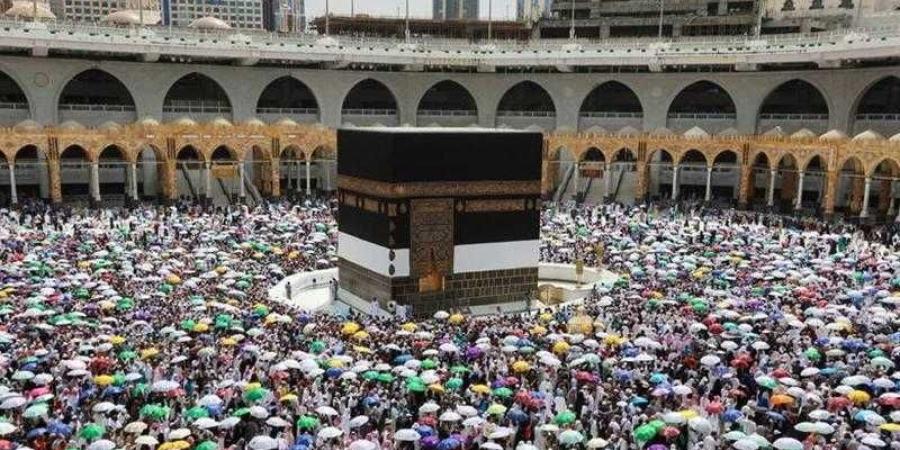 تفاصيل تنظيم رحلات حجاج الجمعيات الأهلية للمشاعر المقدسة.. فيديو