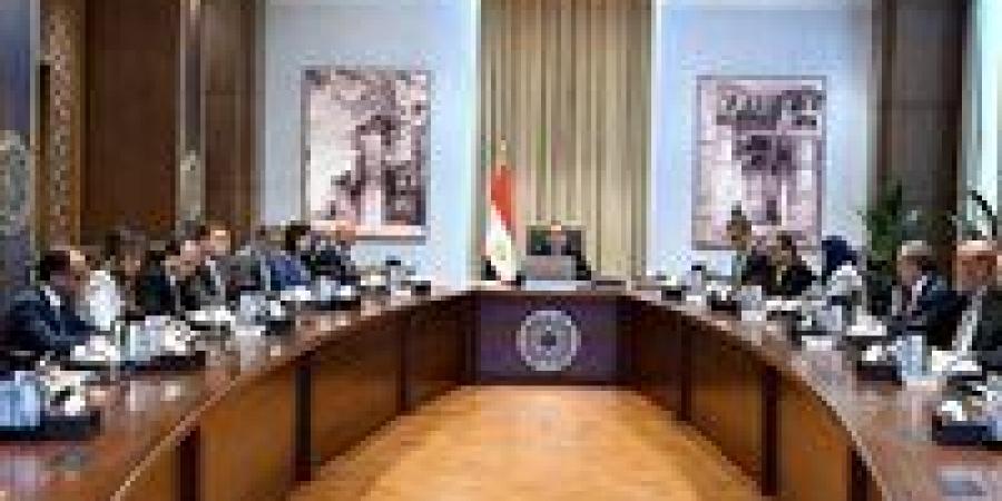 رئيس الوزراء يستعرض تحديات قطاع صناعة الحديد والصلب وآليات وخطوات النهوض به