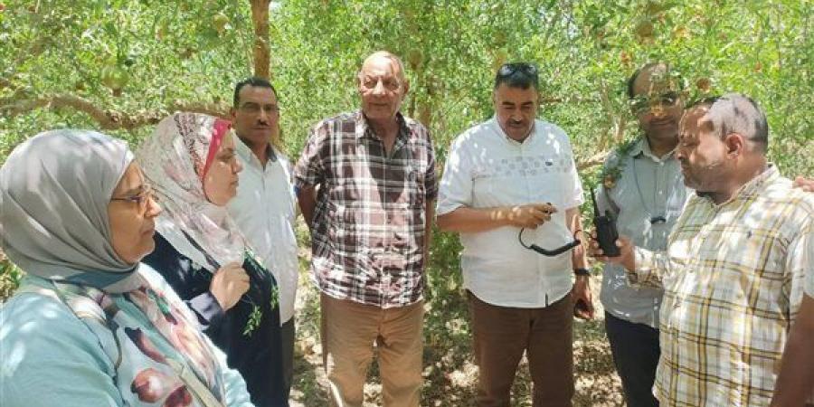 محافظ أسيوط: لقاءات دورية مع مزارعي الرمان لبحث التحديات ودعم الصناعة الزراعية