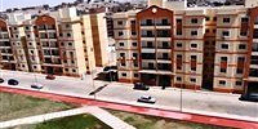 فتح باب الترخيص لـ10 سيارات مينى فان حديثة للعمل بحى اللوتس بالعقاد