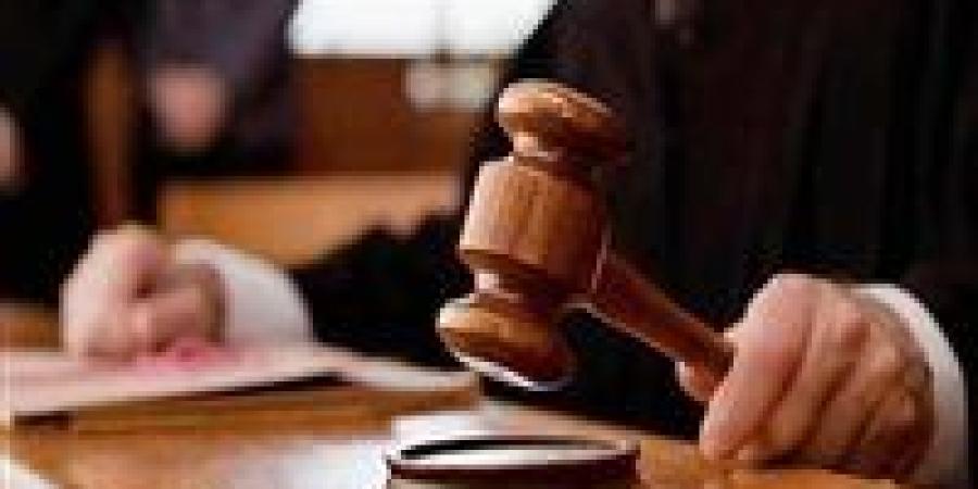 تأجيل محاكمة عنصر إرهابي بـ "خلية الذئاب المنفردة" لمرافعة النيابة