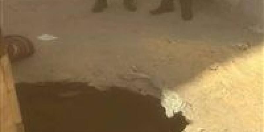 نقبوا عن الآثار داخل قصر الثقافة.. قرار عاجل من النيابة الإدارية في واقعة مركز ثقافة الأقصر