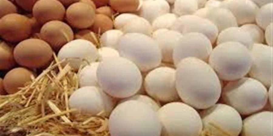 ارتفاع ملحوظ في سعر كرتونة البيض اليوم للمستهلك.. تعرف على الأسعار الجديدة