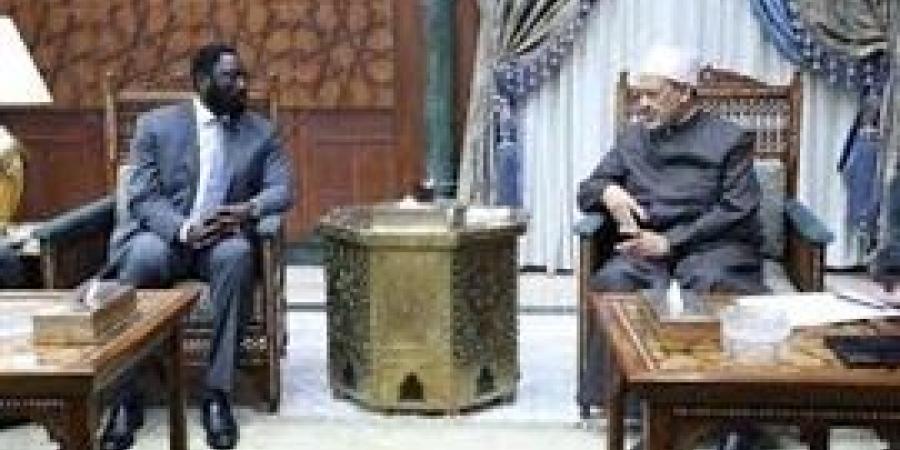 شيخ الأزهر يستقبل وزير خارجية جامبيا