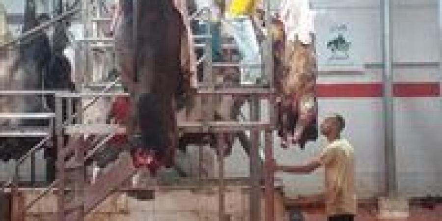 فتح 23 مجزرًا مجانًا أمام المواطنين خلال أيام عيد الأضحى المبارك بالجيزة