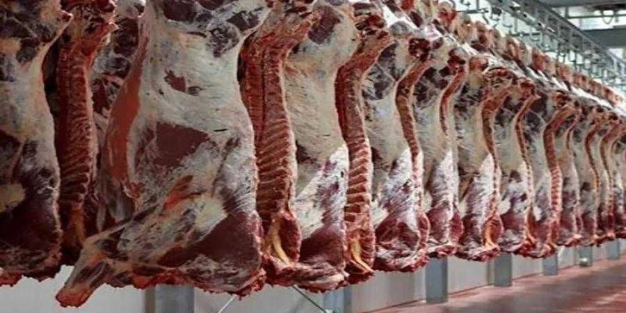 أسعار اللحوم الحمراء اليوم الأحد