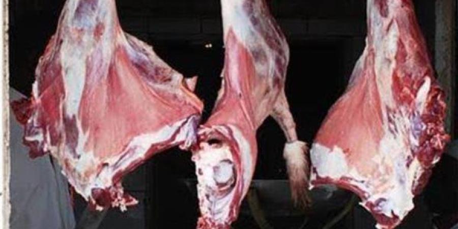 استعدادا لعيد الأضحى .."الزراعة" تكثف حملاتها على الشوادر وأماكن بيع الأضاحي