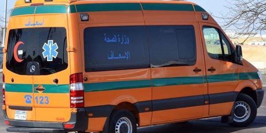 مصرع سائق وطفل إثر اصطدام سيارتي نقل بصحراوي البحيرة