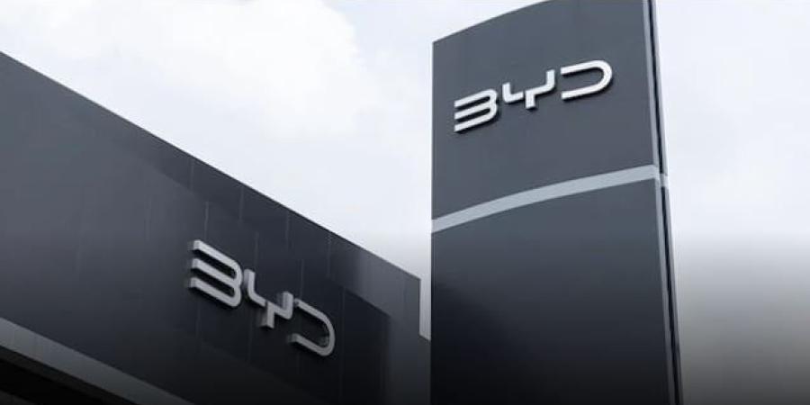 «BYD» تكشف عن نيتها إطلاق سيارة كهربائية رخيصة في هذه الأسواق