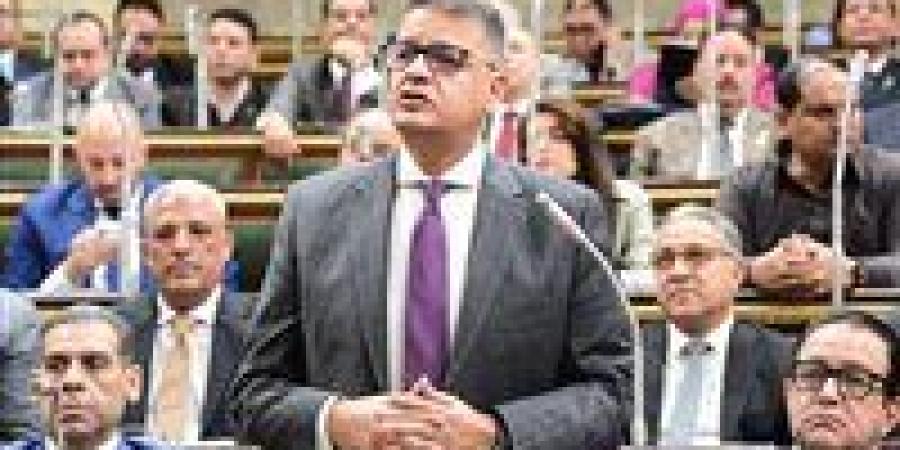 النائب طارق رضوان: المواطن بقى عايز يشوف فعل مش وعود لأنه شبع كلام من الأحزاب