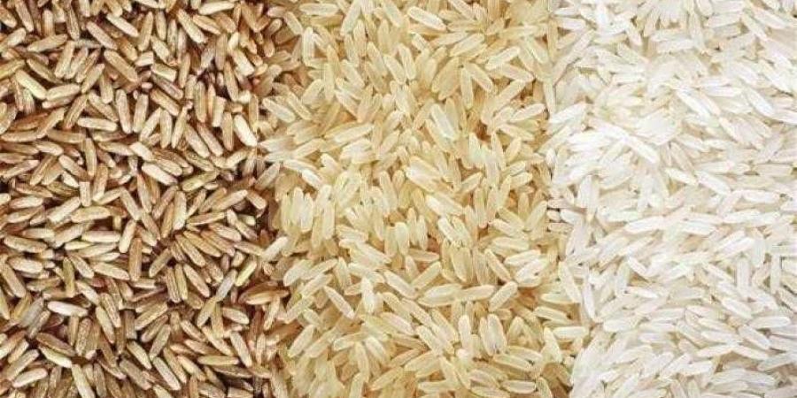 سعر الأرز الشعير اليوم الأحد عند التاجر.. الطن وصل لكام
