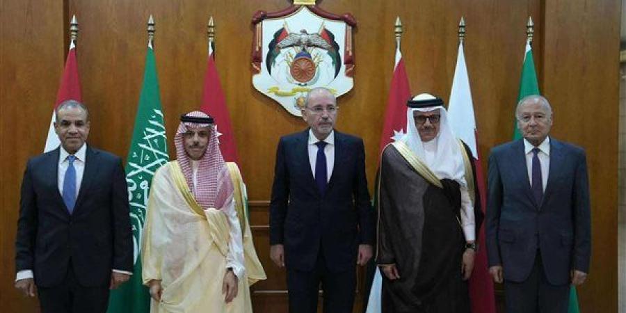 اللجنة الوزارية العربية تؤكد دعمها لوقف العدوان على غزة وتنفيذ حل الدولتين