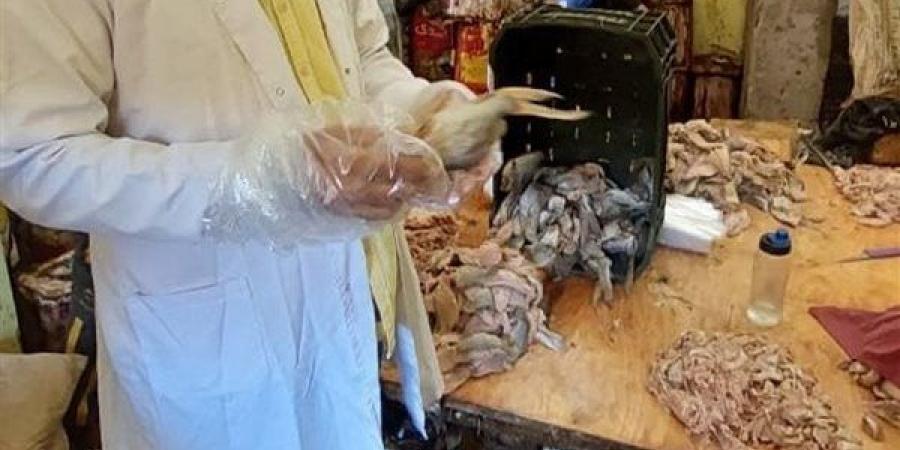 تسجيل 1746 منشأة غذائية بهيئة سلامة الغذاء منذ بداية العام الجاري