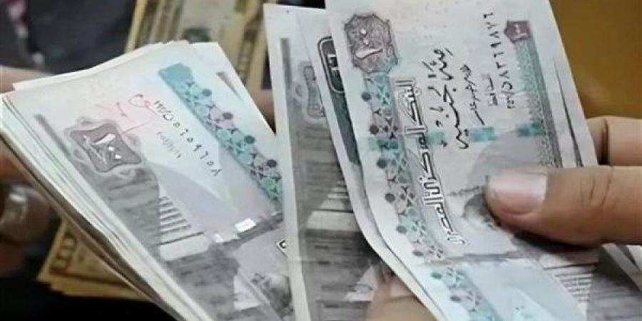 صرف 1500 جنيه منحة عيد الأضحى للعمالة غير المنتظمة.. التسجيل والخطوات