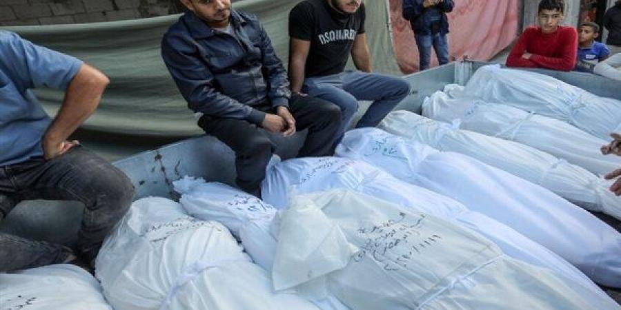وزارة الصحة بغزة: المستشفيات استقبلت 21 شهيدا و30 ...
