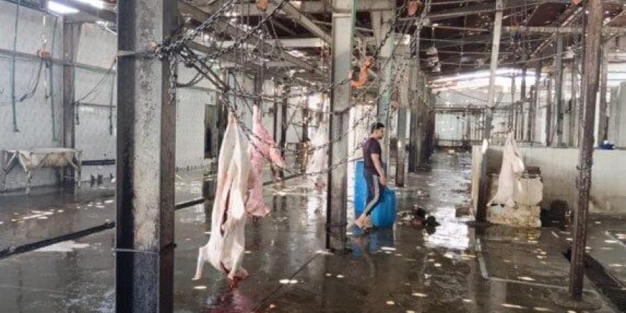 السكرتير العام المساعد لمحافظة الإسماعيلية يتفقد المجزر الآلي بأبو خليفة وأبو صوير