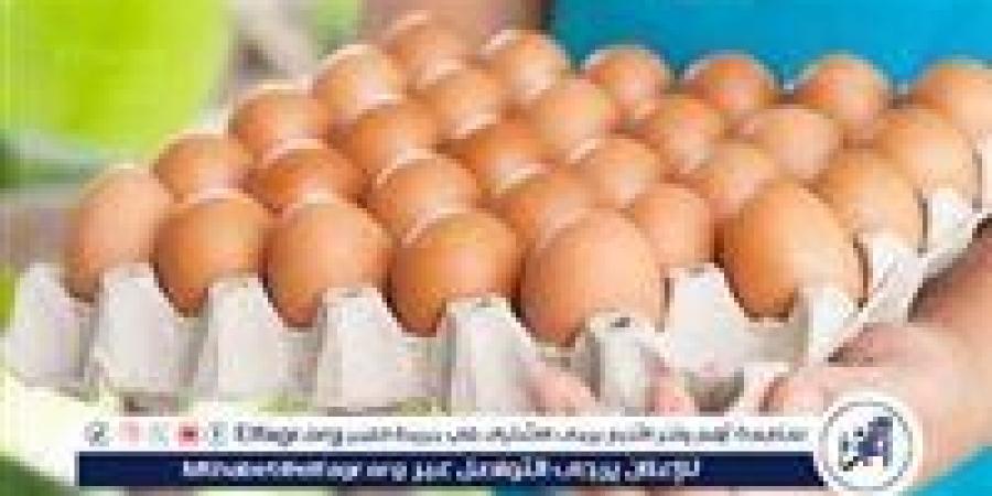 أسعار طبق البيض اليوم الاثنين 2-6-2025 في قنا