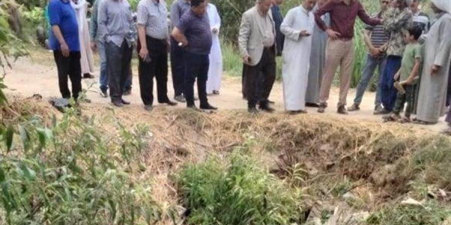 وكيل زراعة البحيرة يتابع أعمال التطهير بحوش عيسى والمحمودية.. صور