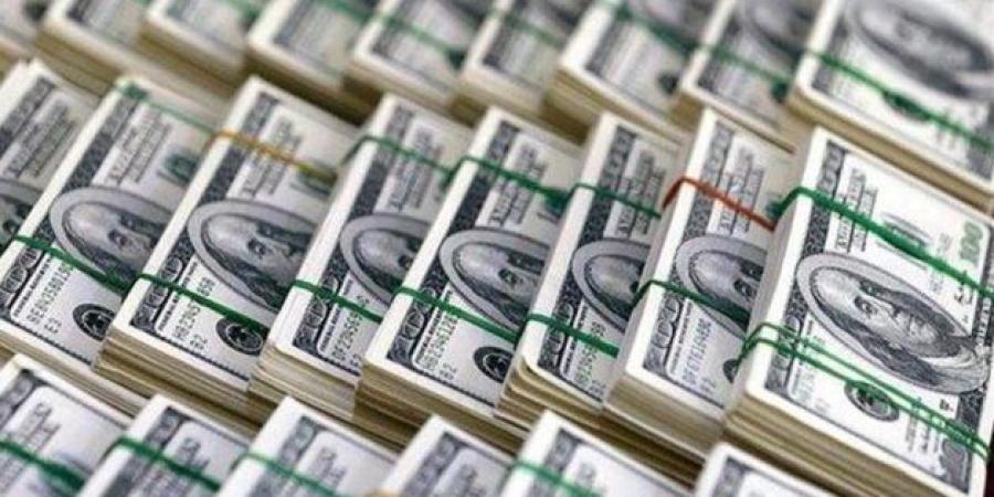 بنك "مورجان ستانلى" يتوقع انخفاضا للدولار الأمريكى 9% بسبب تباطؤ النمو
