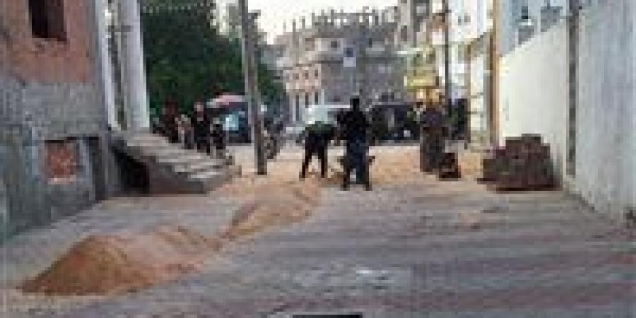 رصف الطرق وتركيب انترلوك بشوارع مدينة الجماليه بتكلفة اجمالية قدرها 6 مليون و245 الف جنيه