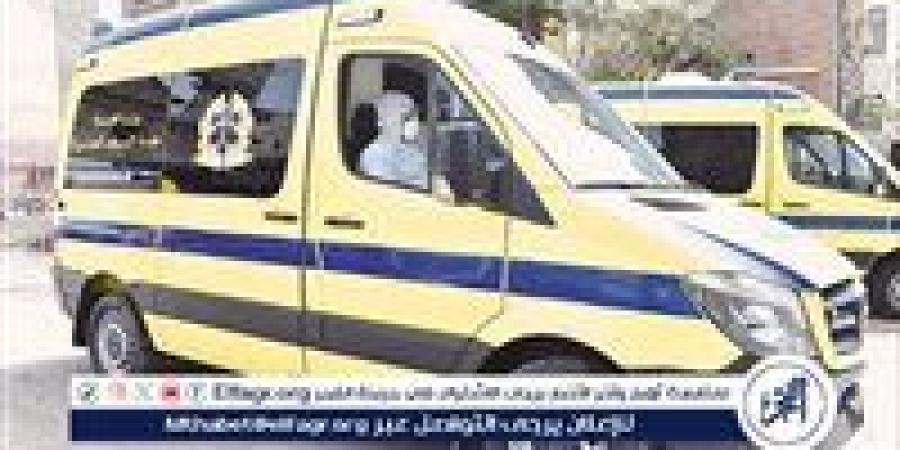 كلب مسعور يعقر ثلاثة أشخاص بمركز البداري فى أسيوط