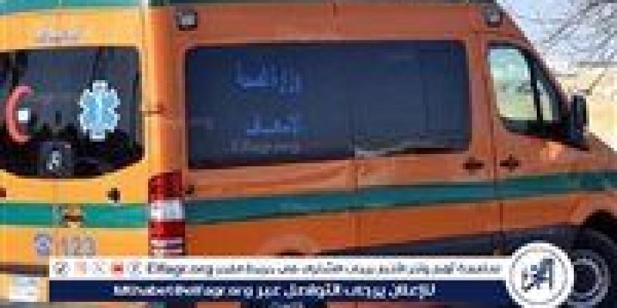 لهو الطفولة يتحول إلى كارثة.. ماذا حدث لطفلة بالهرم؟