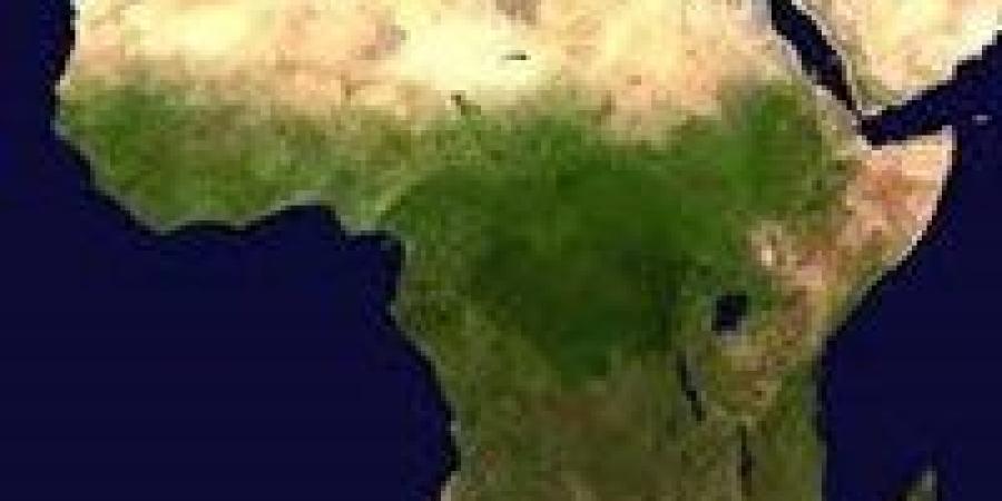 تغييرات سياسية وضغوط متصاعدة وتحذيرات أمنية..ماذا يحدث في إفريقيا؟