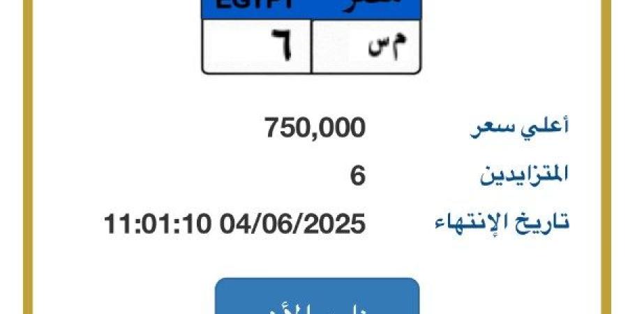 "م س - 6".. لوحة مميزة للسيارات يصل سعرها لـ 750 ألف جنيه