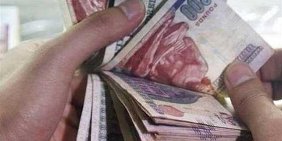 حافز الجودة والعلاوة الدورية والحافز الإضافي.. جدول مرتبات أعضاء هيئة التدريس بالجامعات الجديد بعد الزيادة