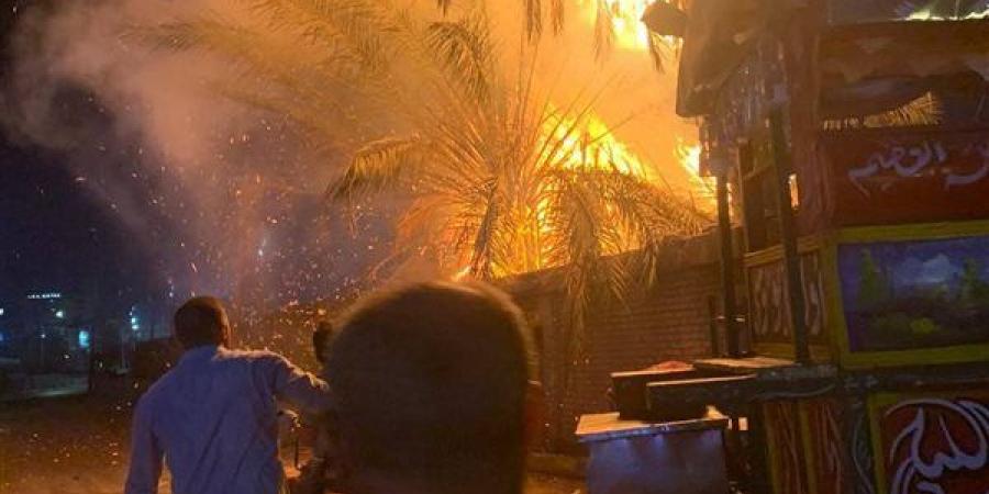 السيطرة على حريق نشب في نخيل بجوار مخزن مشروبات غازية بقليوب
