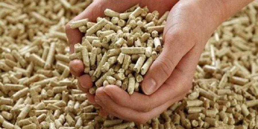 سعر شيكارة العلف اليوم الإثنين عند التاجر.. مين هيخزن