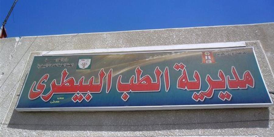 طرح لحوم بلدية بأسعار مخفضة في الوادي الجديد استعدادًا لعيد الأضحى