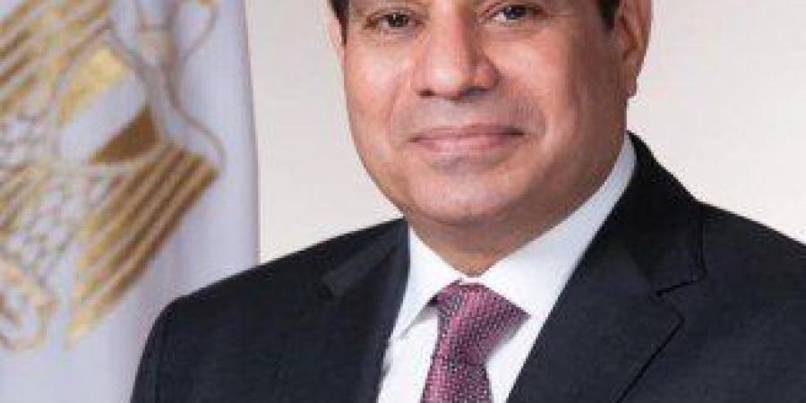 الرئيس المصري يلتقي وزير الخارجية الإيراني ويحذر من "حرب إقليمية شاملة"