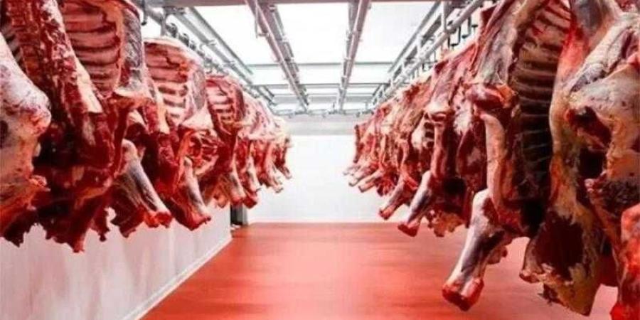 أسعار اللحوم الحمراء اليوم الإثنين