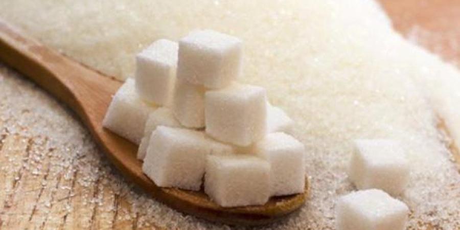 عميد سابق بالمعهد القومي للتغذية يحذر من الإفراط في استخدام السكر الدايت