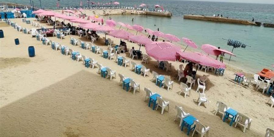 الإسكندرية جاهزة لاستقبال عيد الأضحى.. تفاصيل