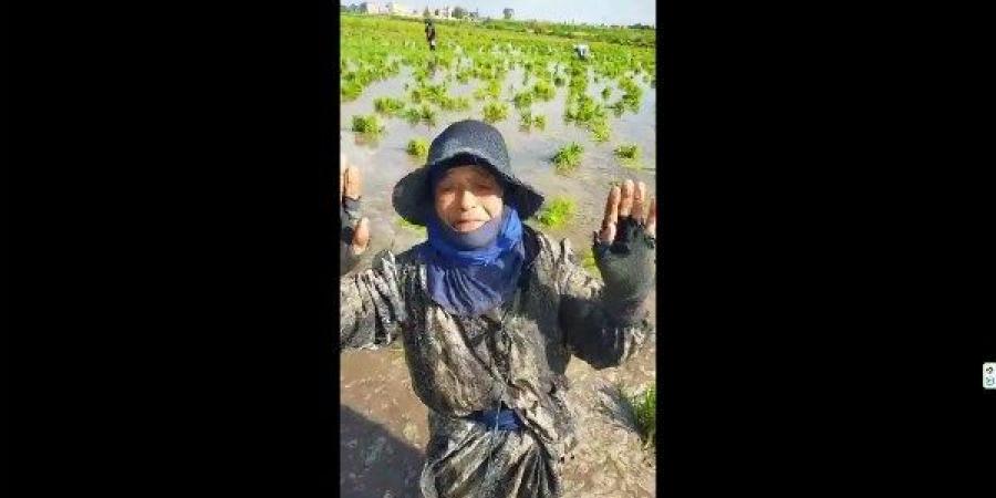 استجابة جديدة لموقع بصراحة.. "صناع الخير" تمنح الحاجة كوكب رحلة عمرة ومعاش شهري 2000 جنيه